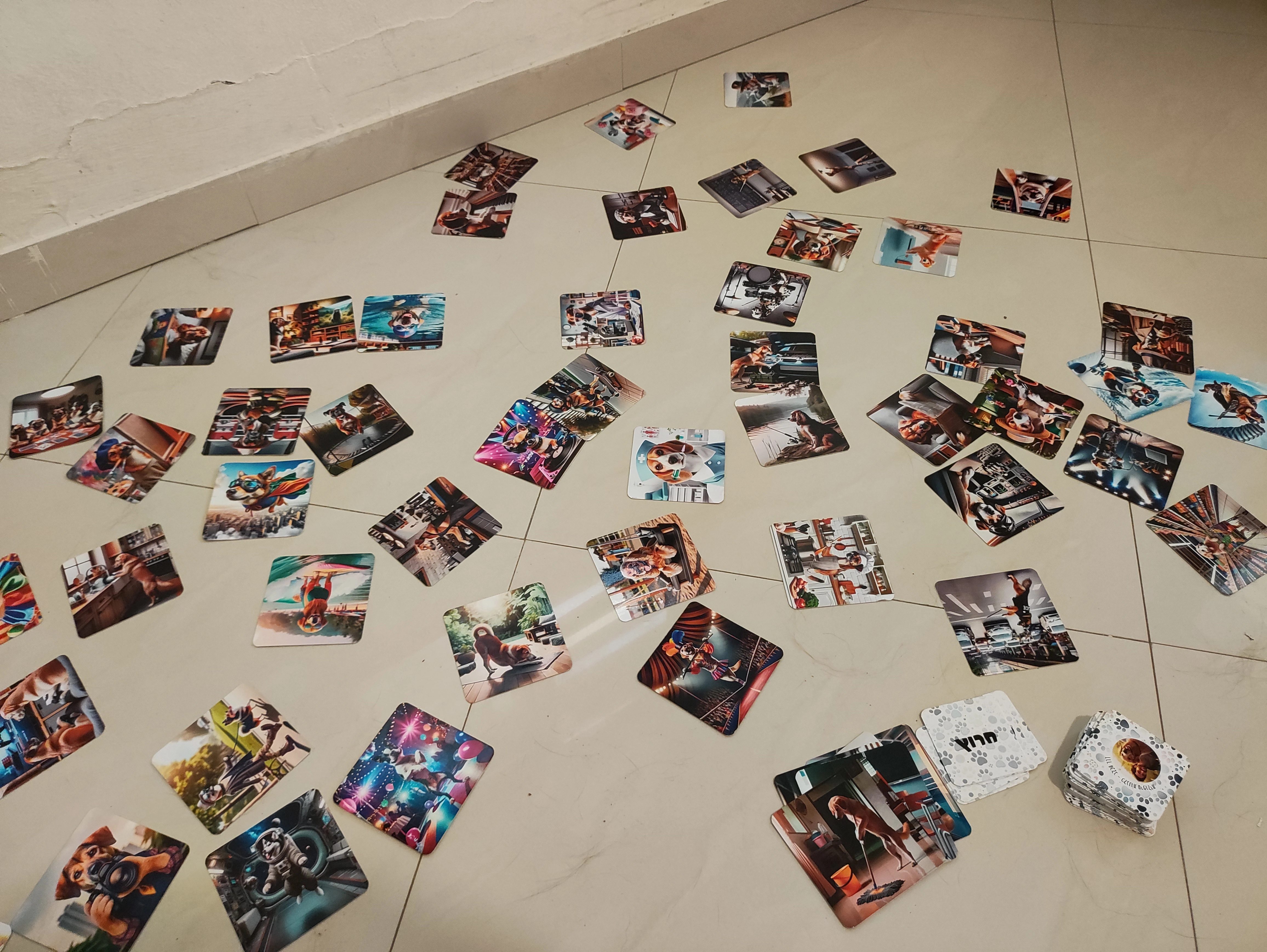 מארז דרך הכלב